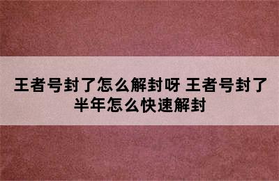 王者号封了怎么解封呀 王者号封了半年怎么快速解封